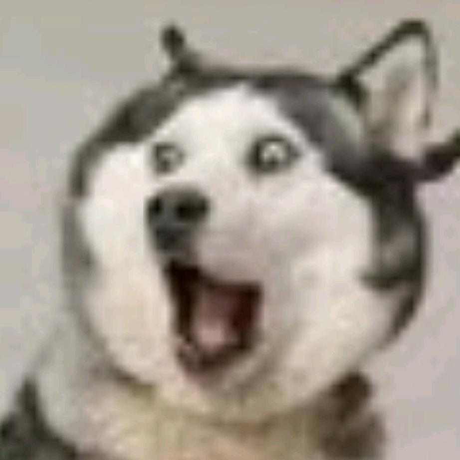 佳旺