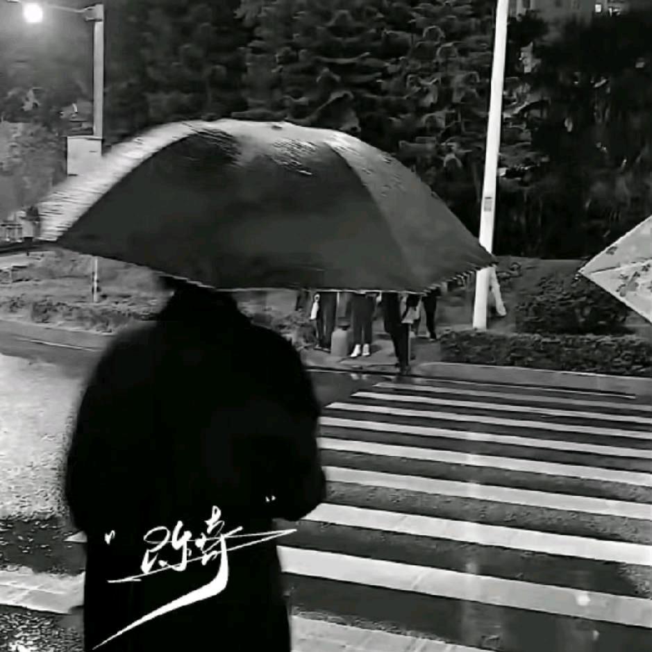 割舍🪼