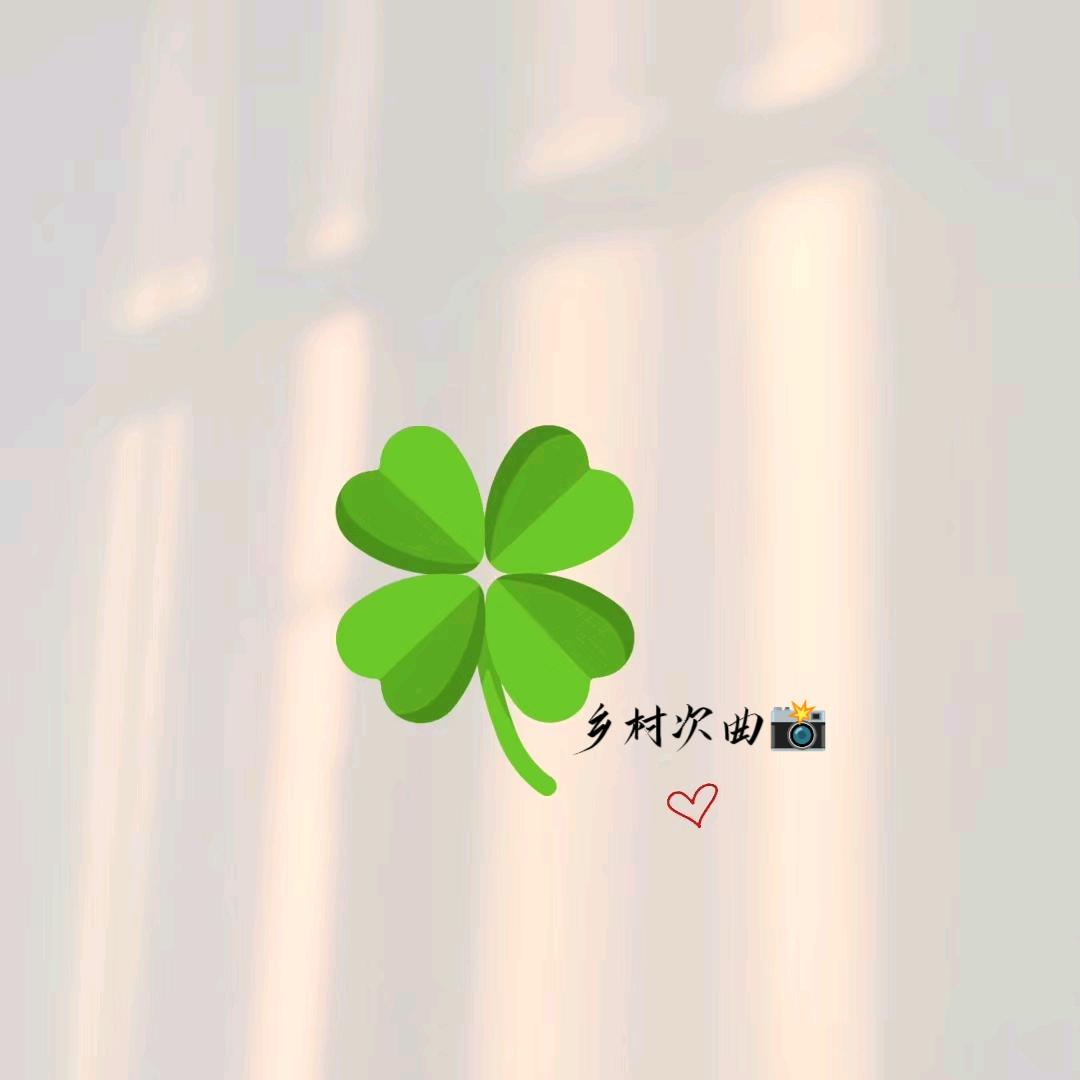 乡村次曲📸（向前看）