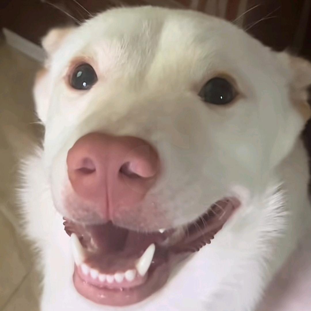 亿百块