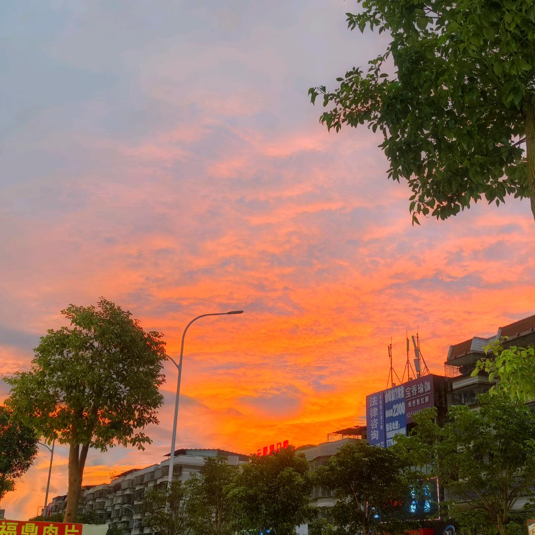 采蘑菇的小姑娘