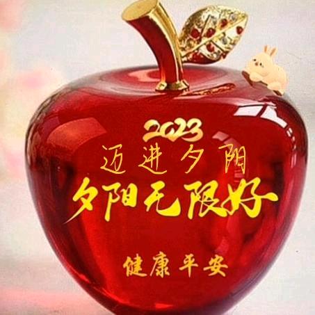 夕阳无限好(65)年蛇