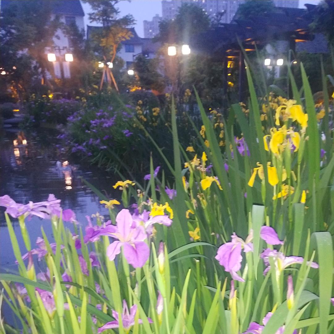 丽超荣增雪，坦荡做人，无愧余生