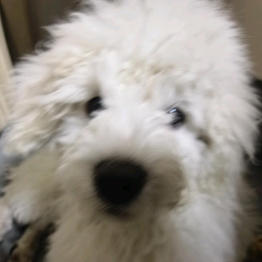 胡一三💓