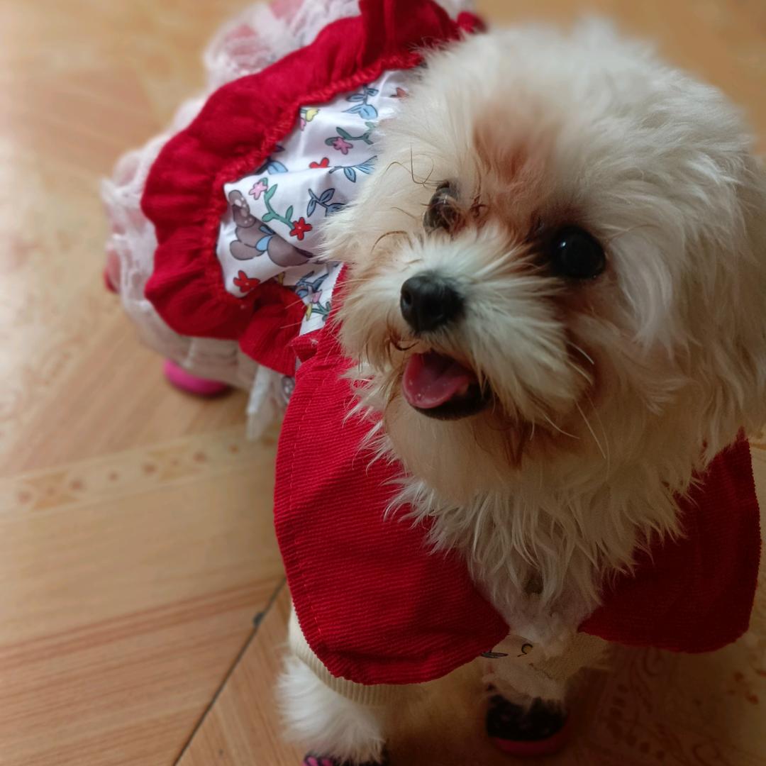 艳要加油