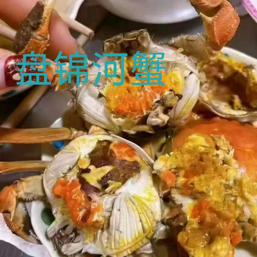盘锦大姐