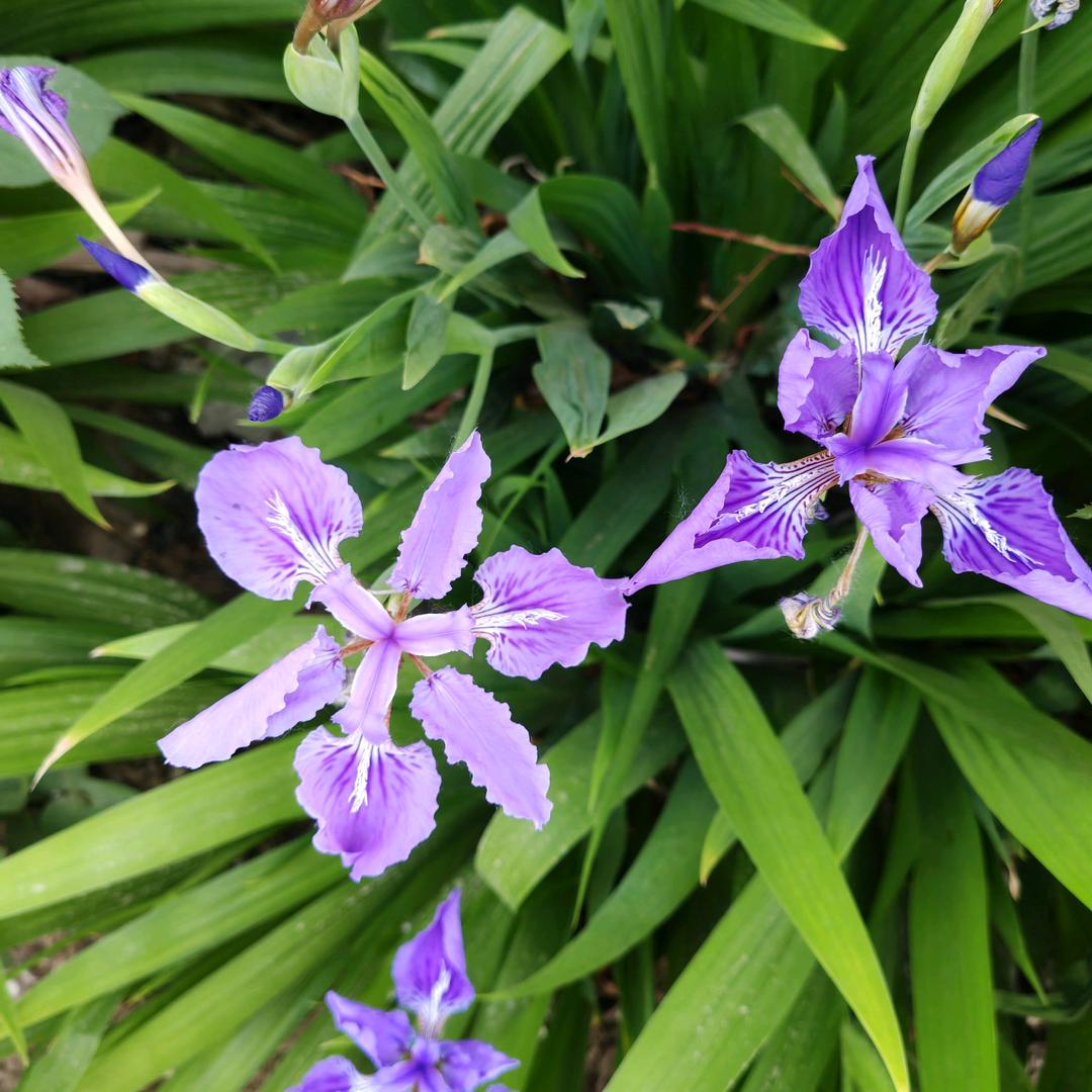 晨磊物流《吴子磊》