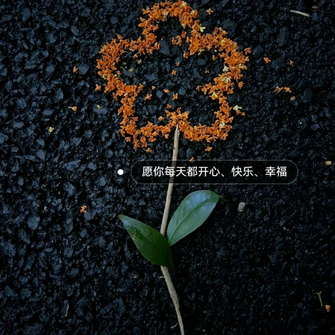 宋你一朵小红花