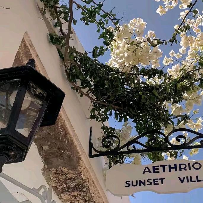 狸น้องสาว