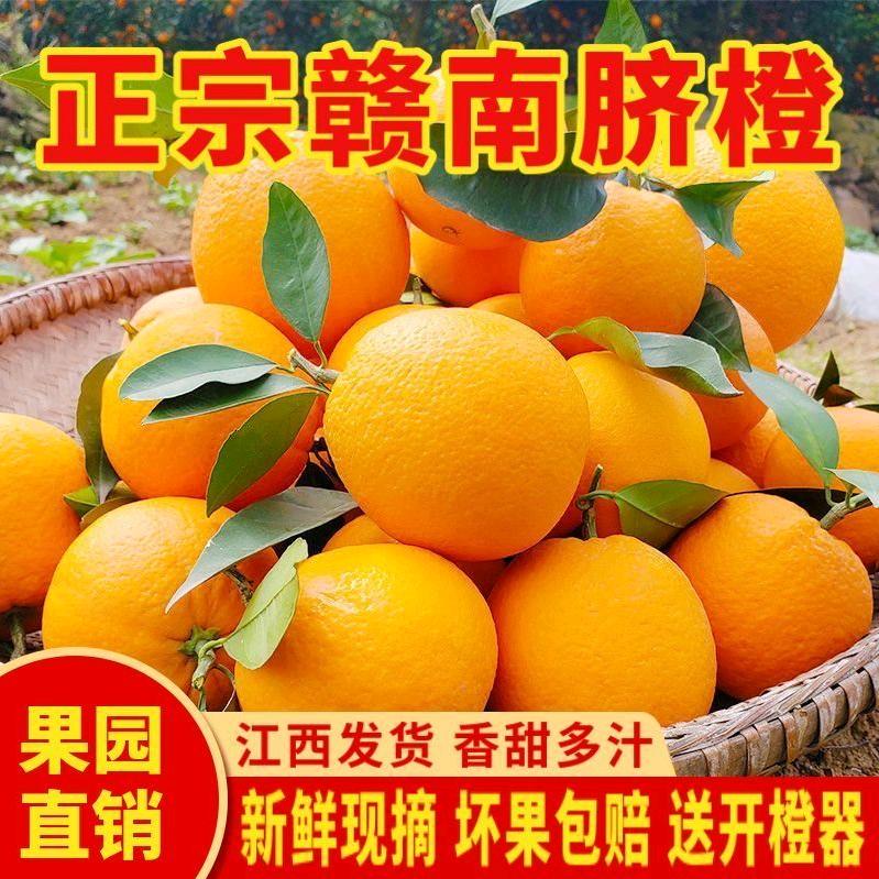 赣南脐橙明日达