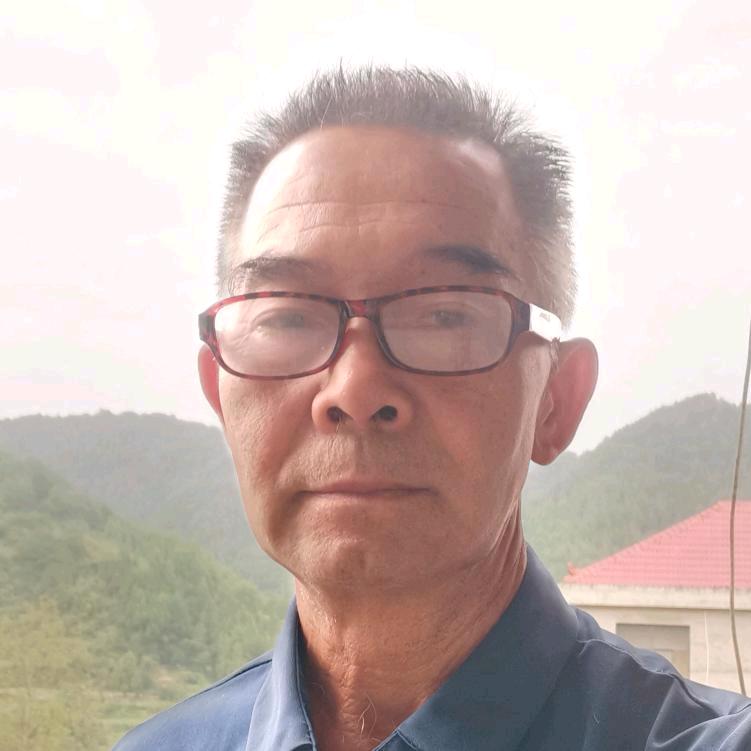 杨哥