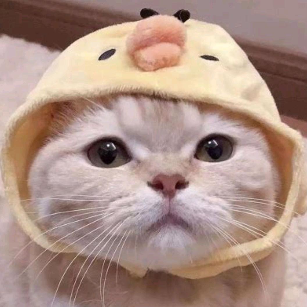 学长不要这样