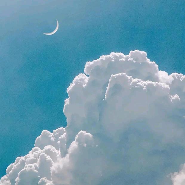 ☁云端高歌☁