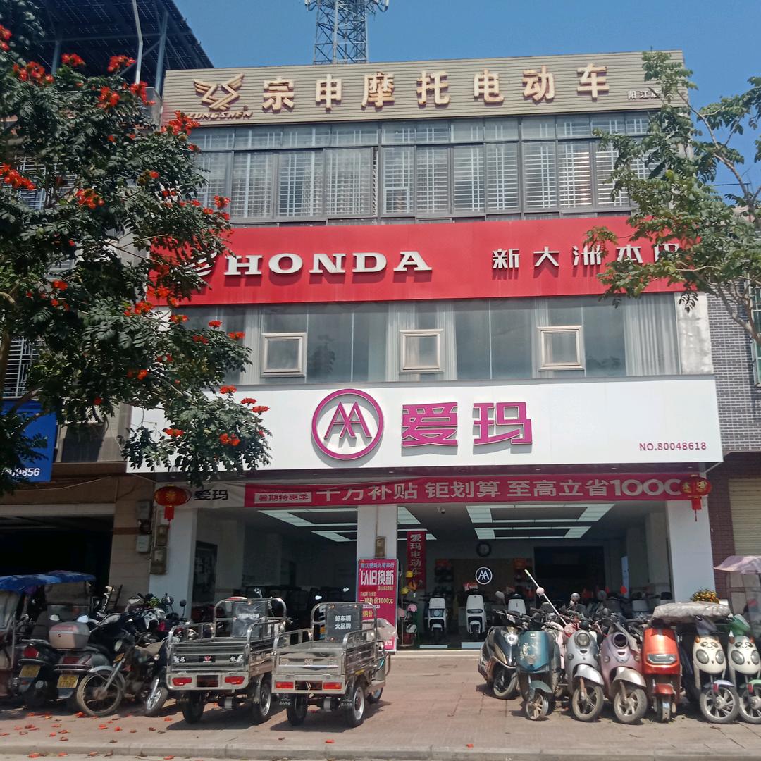 琼海阳江爱玛，九号电动车（虹姐）