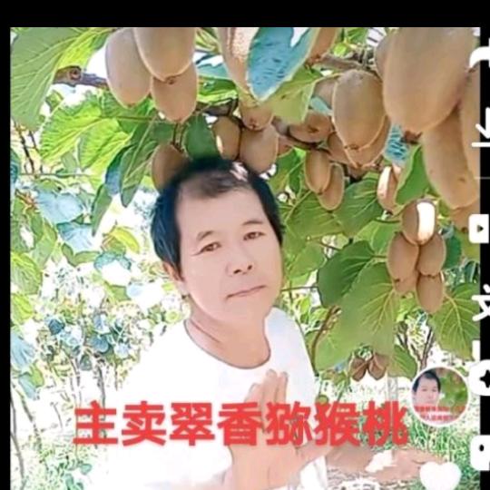 李哥翠香优品