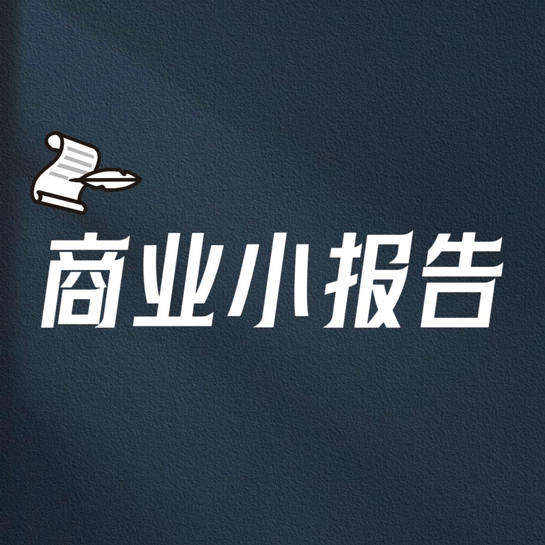 商业小报告