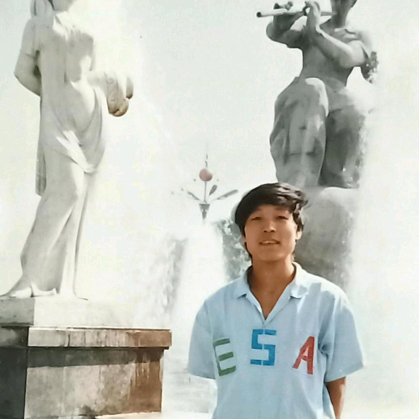 画师专业