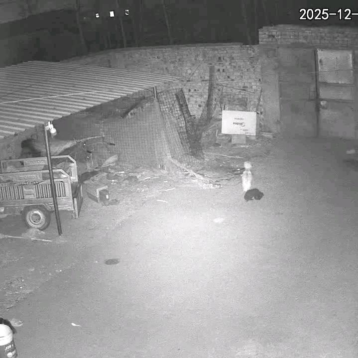 用户9492505425361