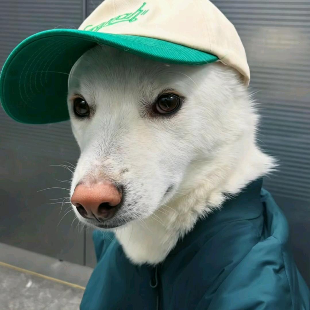差不多