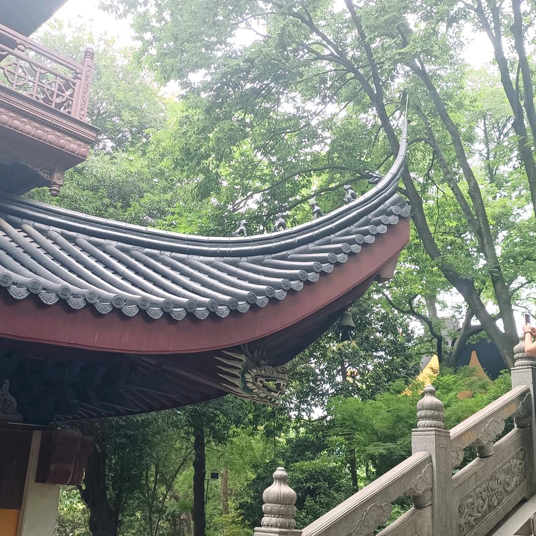 3生万物（小师父）