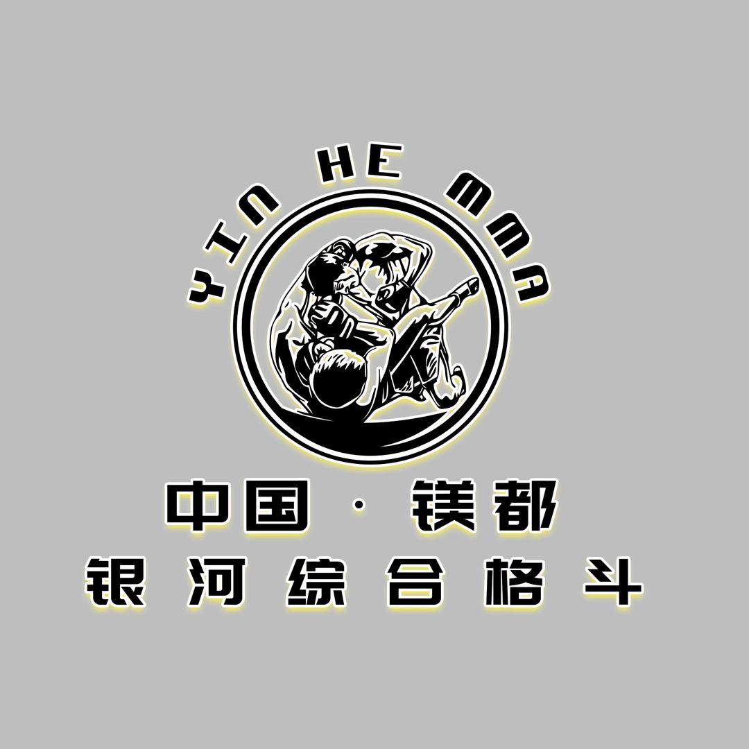 大石桥市银河综合格斗