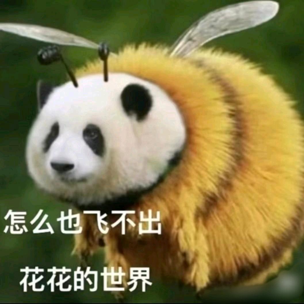 烤咕咕中~