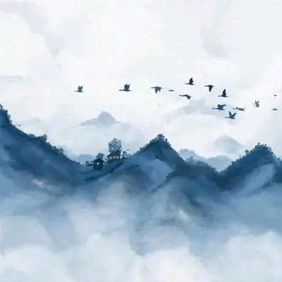 假的真不了