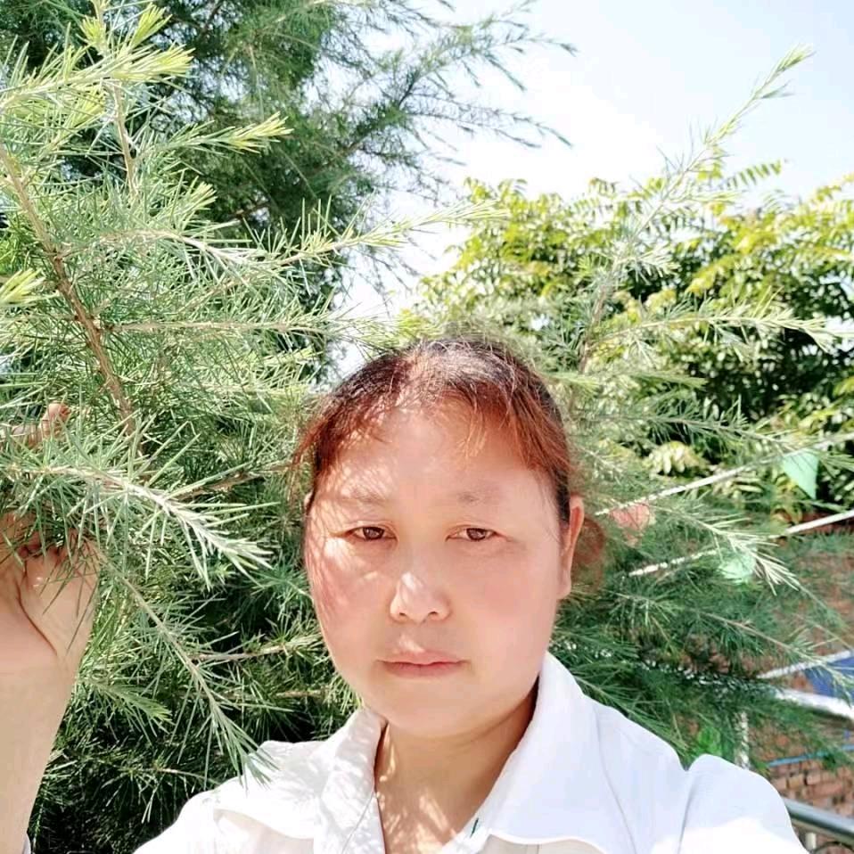 田大姐