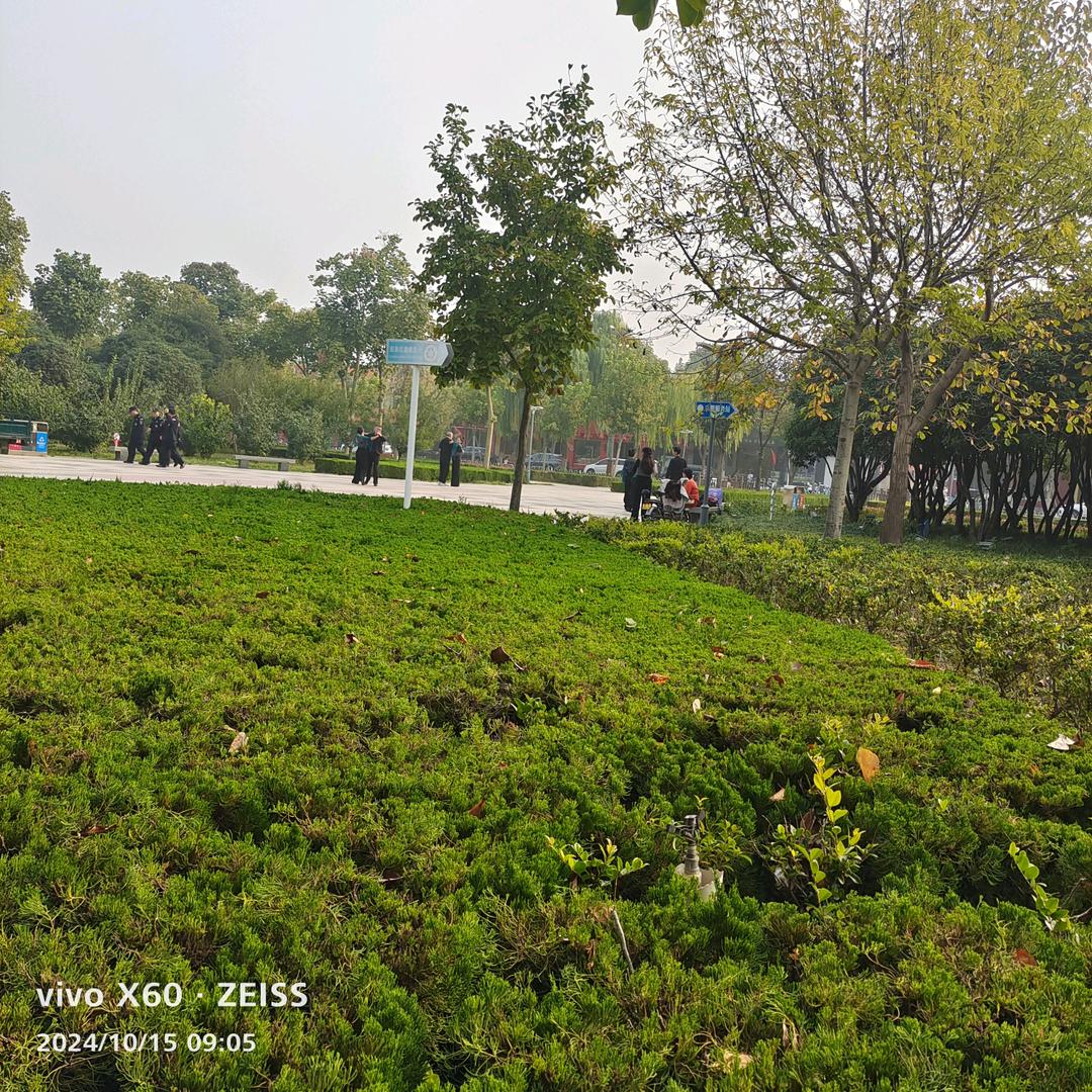 李家三妞新主播