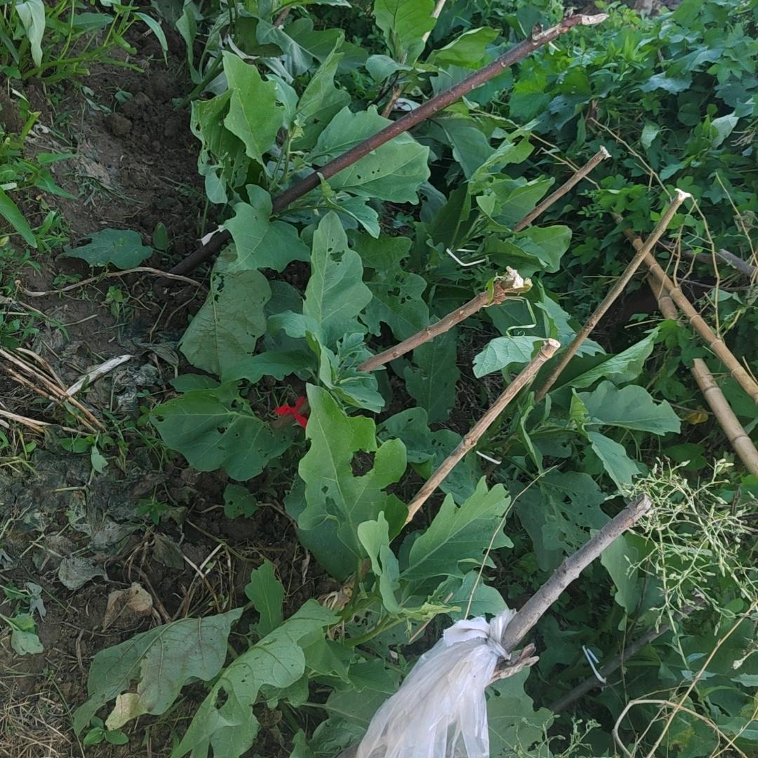方离开渣男，永远快乐