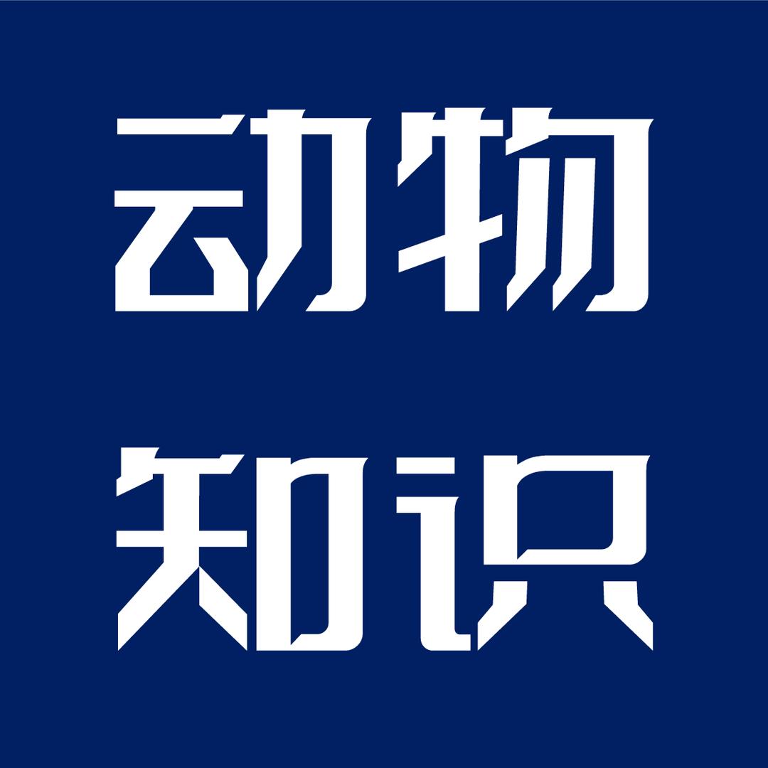 动物知识