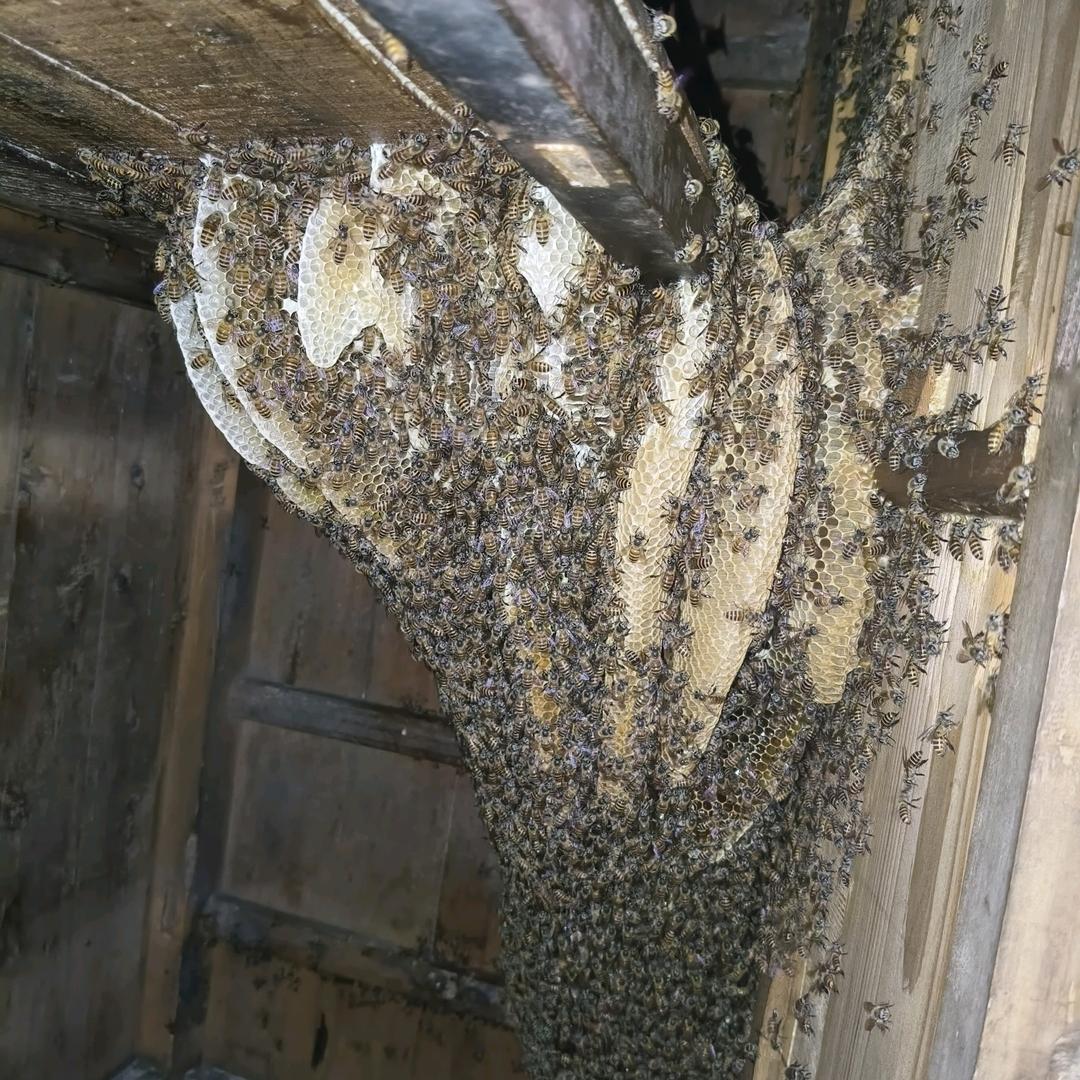 💗᭄余生ᝰᩚꦿ໌有你: 💗᭄