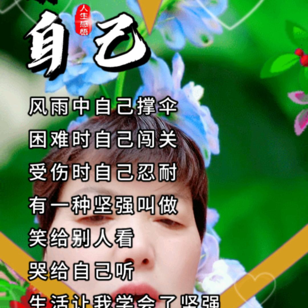 哈尔斯