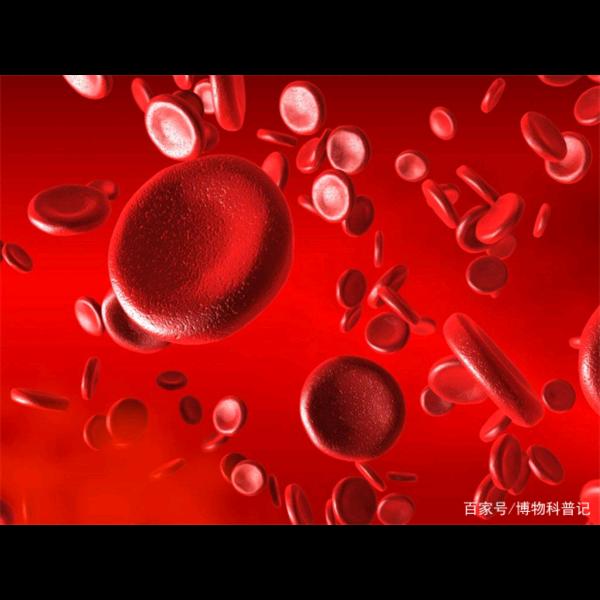 好人一生平安an