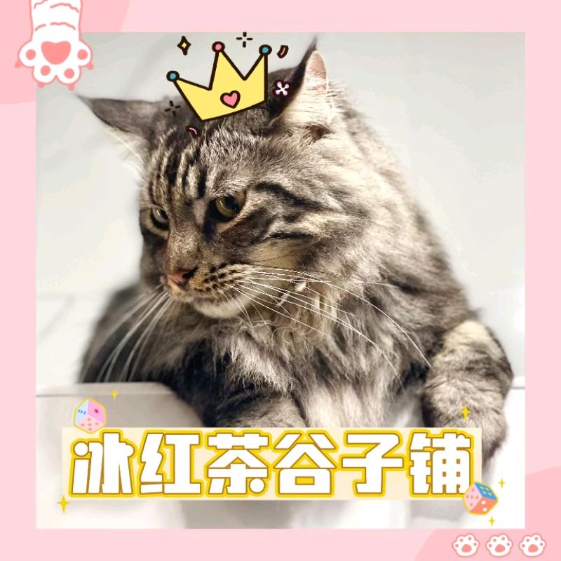 冰红茶谷子铺