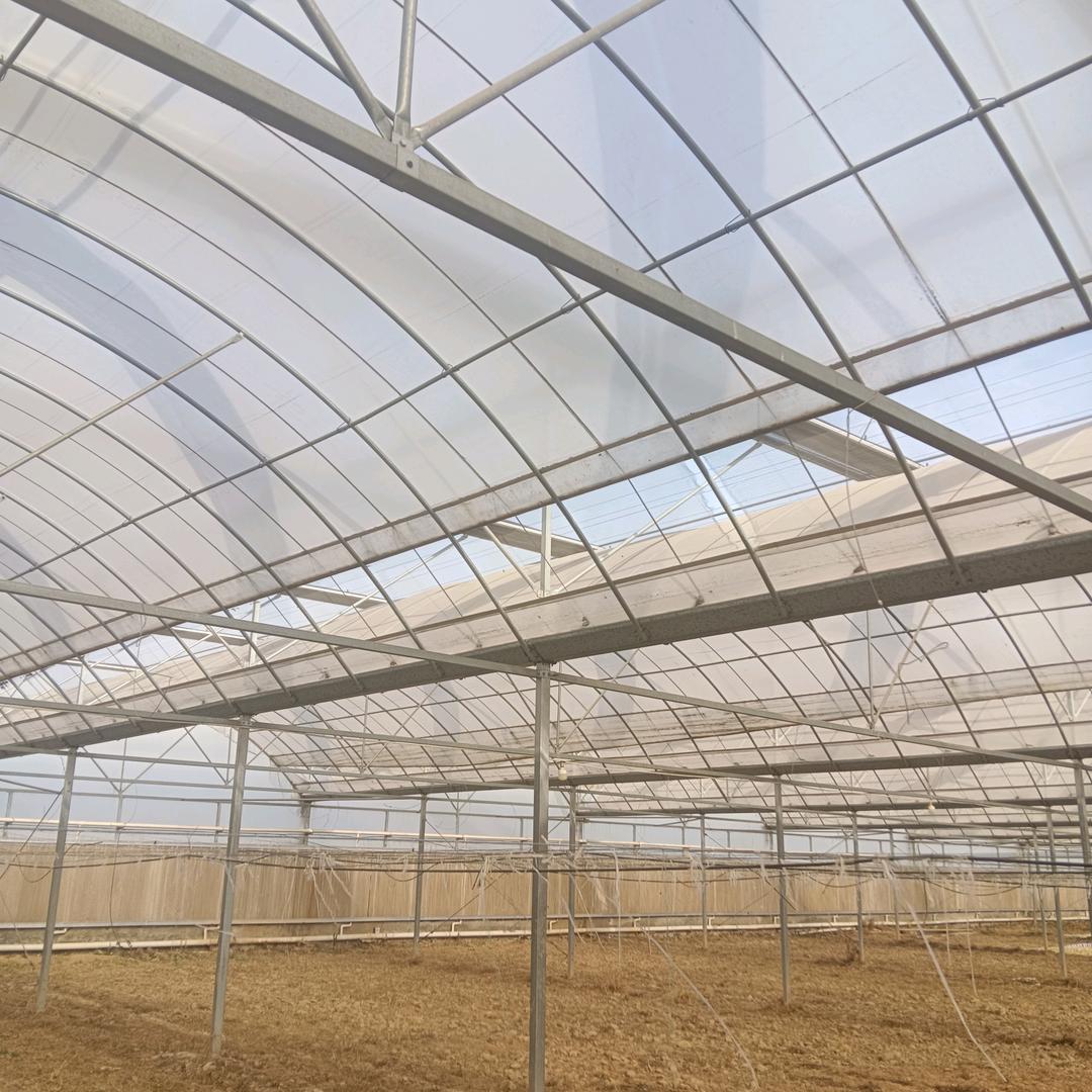 干活我们是专业的