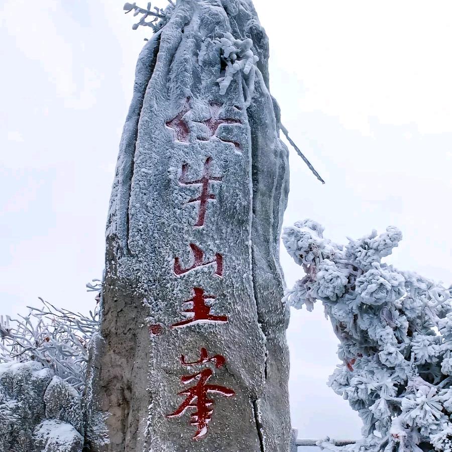 修成正果
