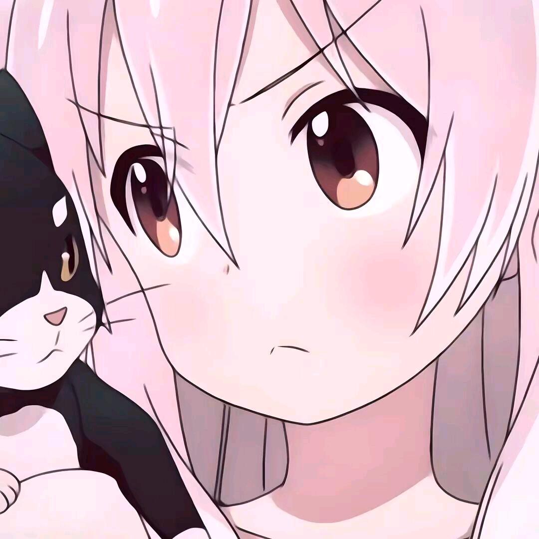 三三不会捡