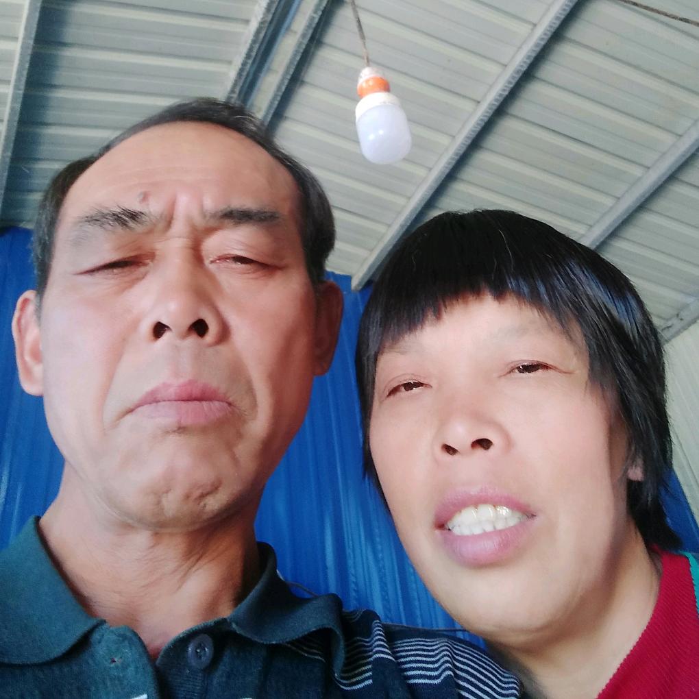 老谈