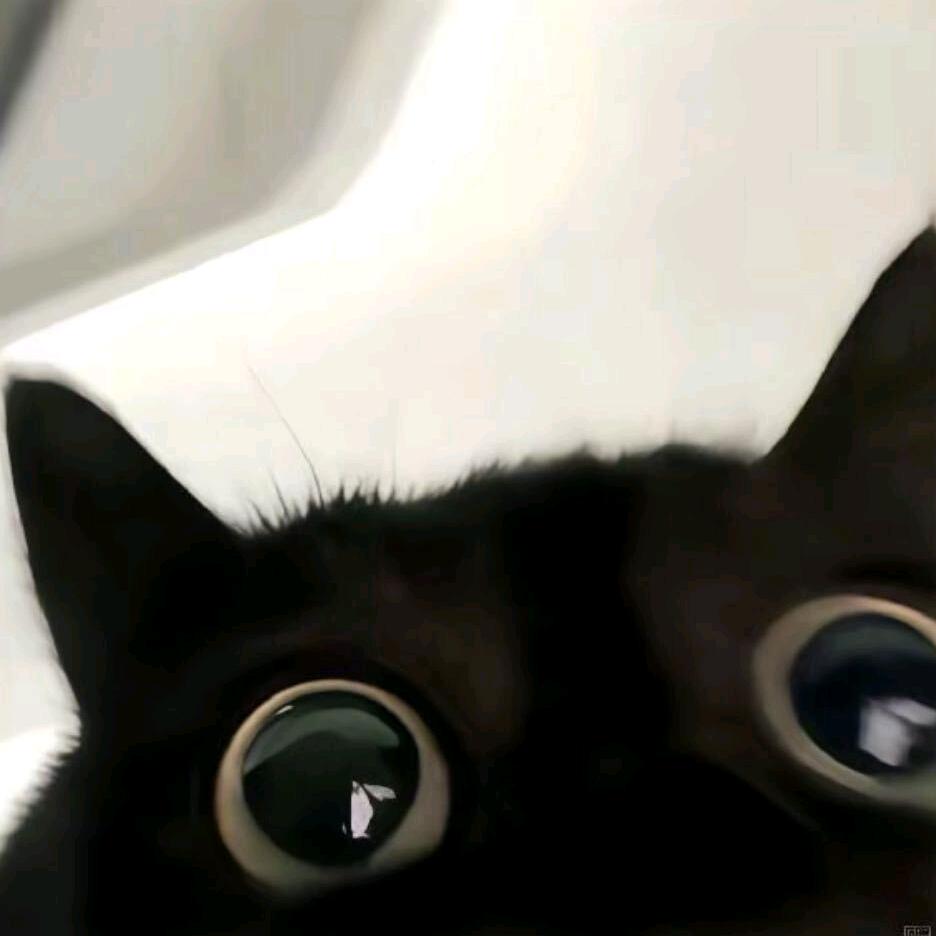 miu