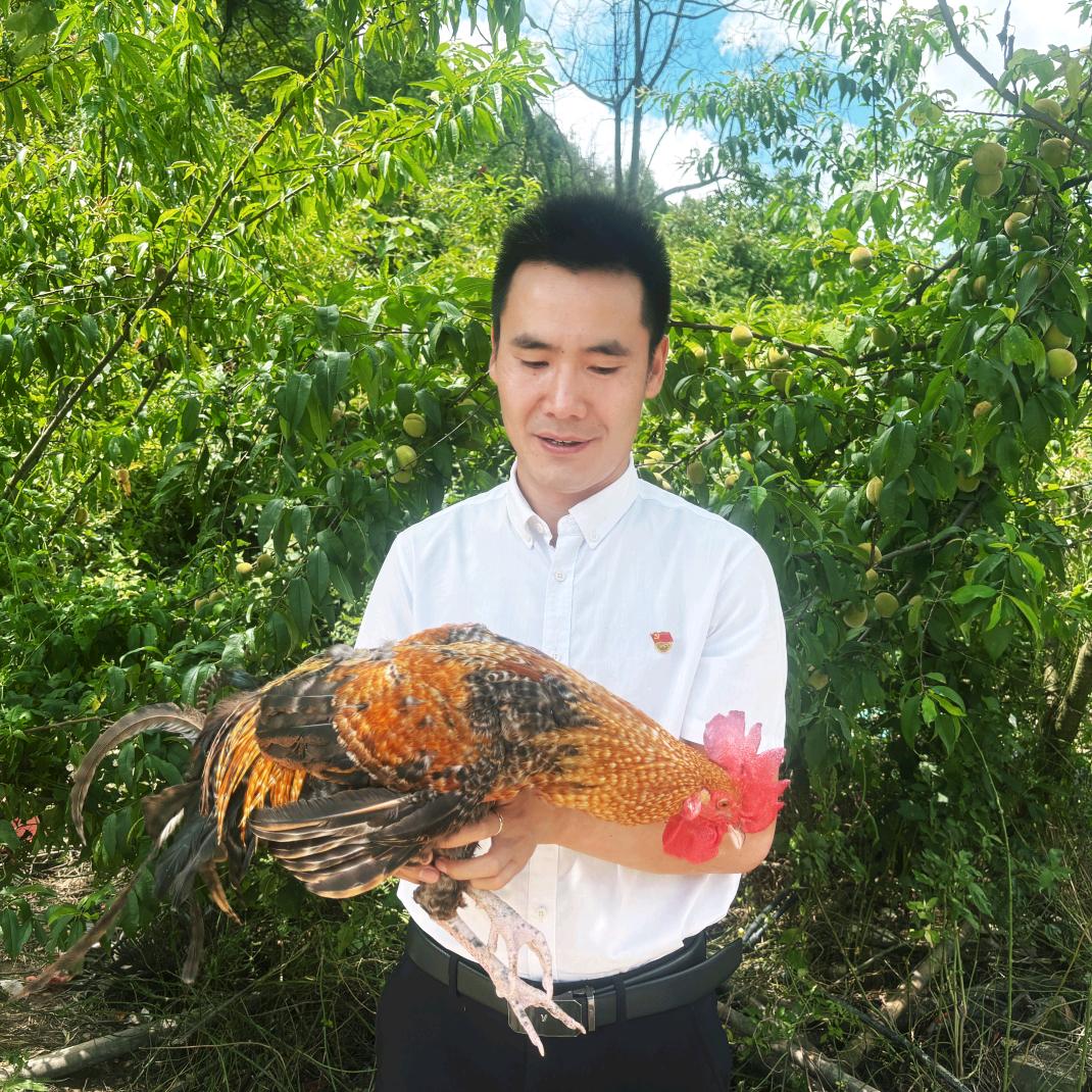 四川古蔺沙坝村支书