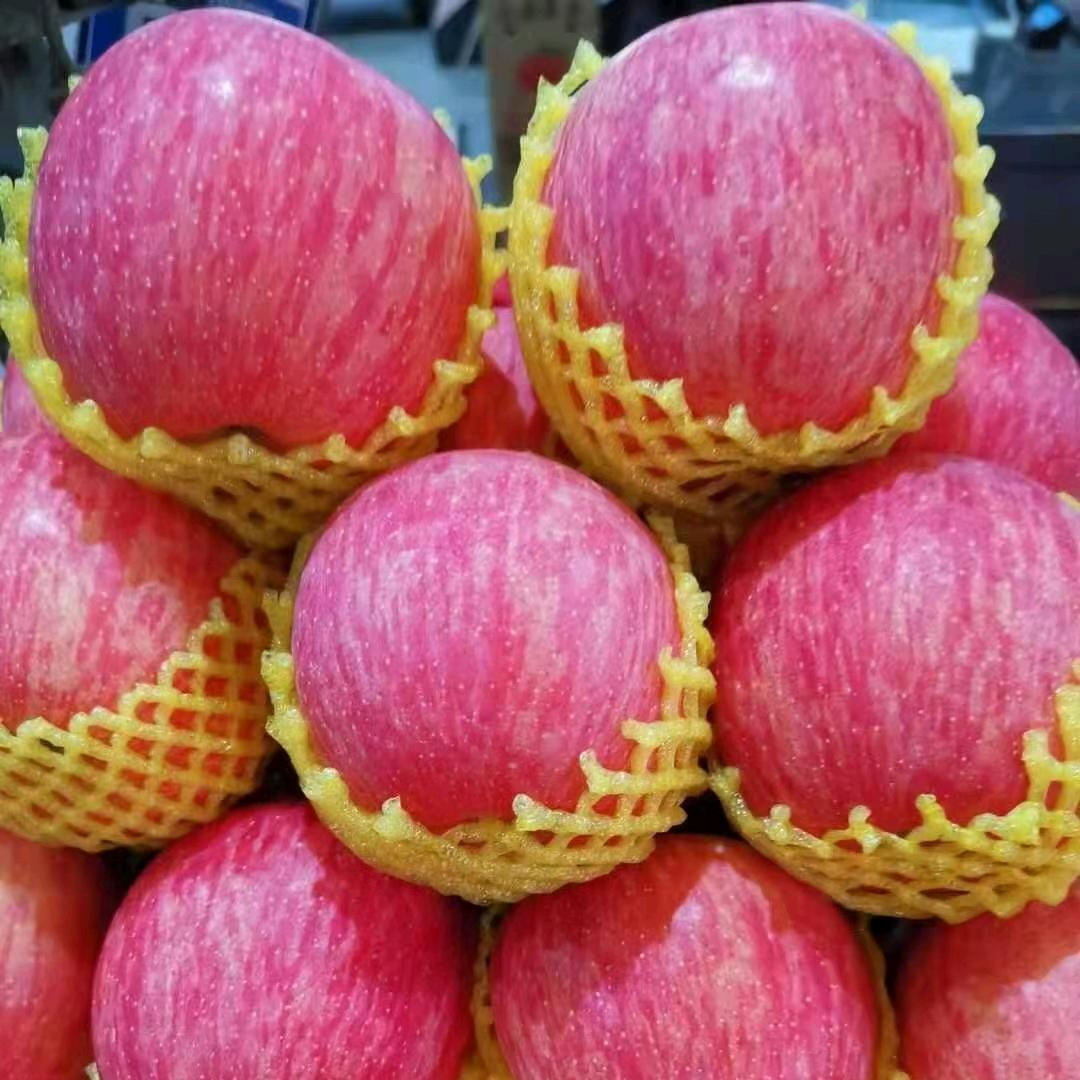 栖霞苹果代办🍎阎昌霞🍎