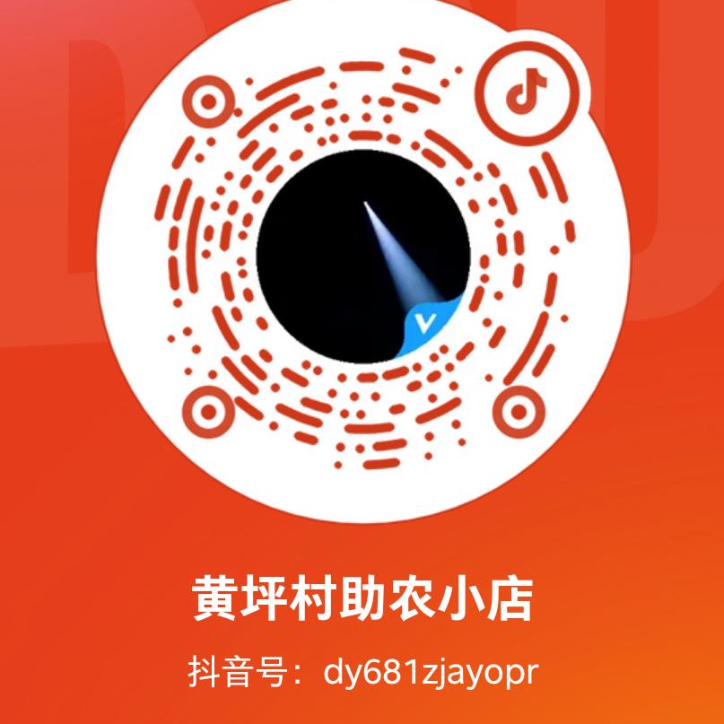黄坪村助农小店