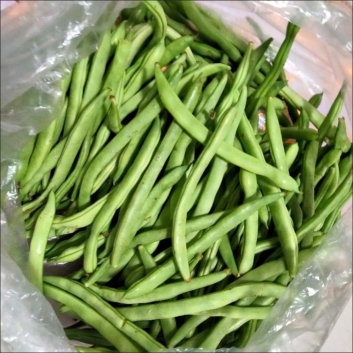 十👄，口👣，月👄