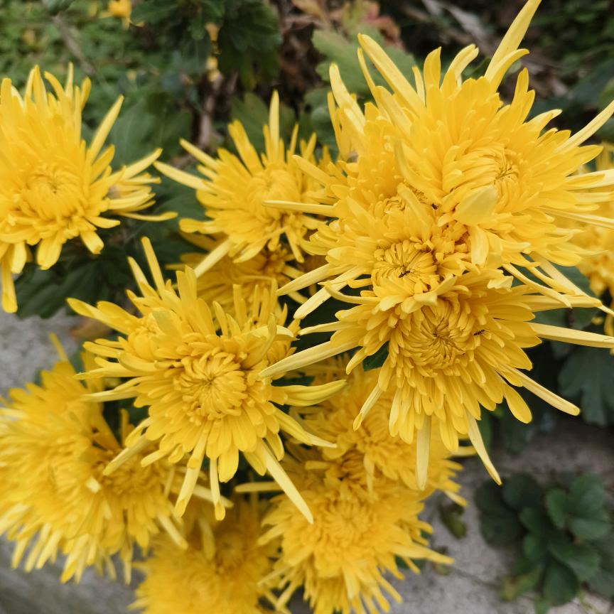 左❤️右爱💫🌙🍁🌱