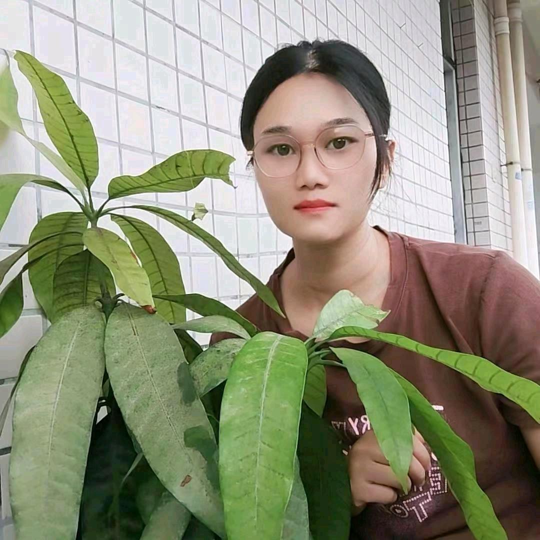 春哥