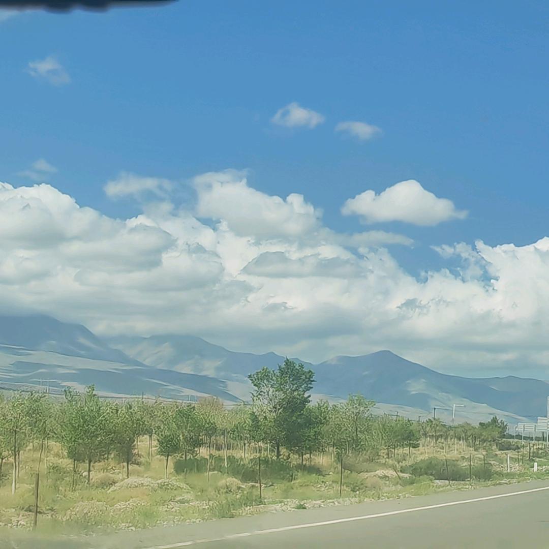 @90🐴（橱窗营业中）