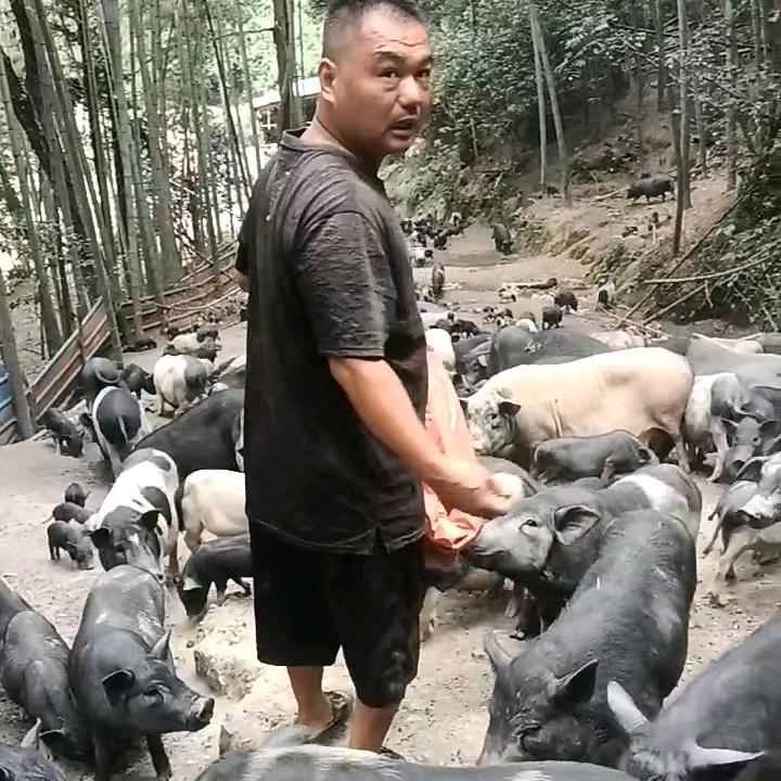 天岭小兵