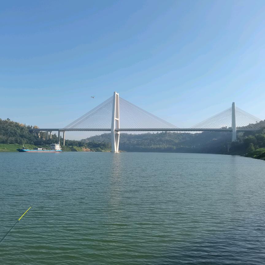 忠陈