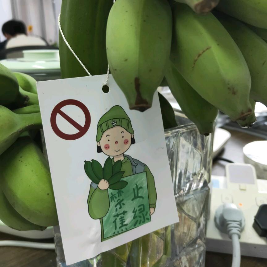 依昂杨头像